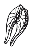 Иллюстрация к книге — 365 рецептов на каждый день [i_123.jpg]