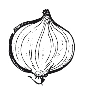 Иллюстрация к книге — 365 рецептов на каждый день [i_128.jpg]