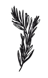 Иллюстрация к книге — 365 рецептов на каждый день [i_137.jpg]