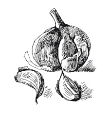 Иллюстрация к книге — 365 рецептов на каждый день [i_139.jpg]