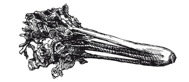 Иллюстрация к книге — 365 рецептов на каждый день [i_143.jpg]