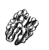 Иллюстрация к книге — 365 рецептов на каждый день [i_147.jpg]