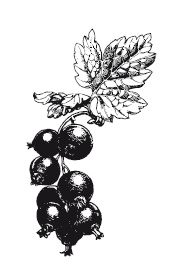 Иллюстрация к книге — 365 рецептов на каждый день [i_148.jpg]