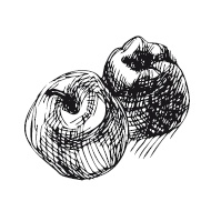 Иллюстрация к книге — 365 рецептов на каждый день [i_153.jpg]