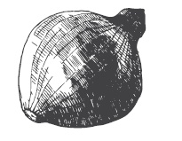 Иллюстрация к книге — 365 рецептов на каждый день [i_158.jpg]