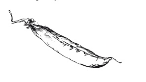 Иллюстрация к книге — 365 рецептов на каждый день [i_163.jpg]