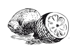 Иллюстрация к книге — 365 рецептов на каждый день [i_168.jpg]