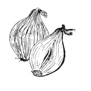 Иллюстрация к книге — 365 рецептов на каждый день [i_180.jpg]