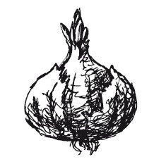 Иллюстрация к книге — 365 рецептов на каждый день [i_185.jpg]