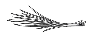 Иллюстрация к книге — 365 рецептов на каждый день [i_188.jpg]