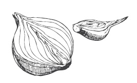 Иллюстрация к книге — 365 рецептов на каждый день [i_189.jpg]