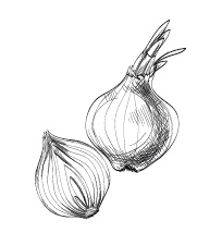 Иллюстрация к книге — 365 рецептов на каждый день [i_190.jpg]