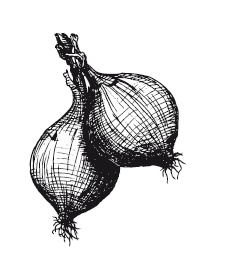 Иллюстрация к книге — 365 рецептов на каждый день [i_194.jpg]