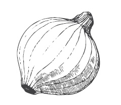 Иллюстрация к книге — 365 рецептов на каждый день [i_195.jpg]