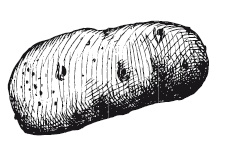 Иллюстрация к книге — 365 рецептов на каждый день [i_201.jpg]