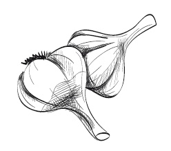 Иллюстрация к книге — 365 рецептов на каждый день [i_206.jpg]