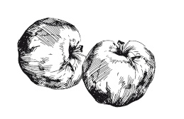 Иллюстрация к книге — 365 рецептов на каждый день [i_211.jpg]