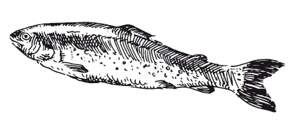 Иллюстрация к книге — 365 рецептов на каждый день [i_218.jpg]