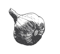 Иллюстрация к книге — 365 рецептов на каждый день [i_221.jpg]