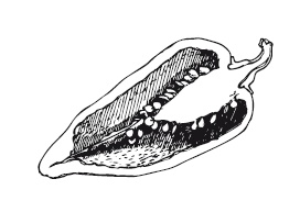 Иллюстрация к книге — 365 рецептов на каждый день [i_222.jpg]