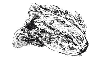 Иллюстрация к книге — 365 рецептов на каждый день [i_228.jpg]