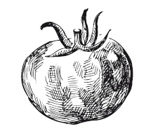 Иллюстрация к книге — 365 рецептов на каждый день [i_238.jpg]