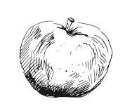 Иллюстрация к книге — 365 рецептов на каждый день [i_243.jpg]