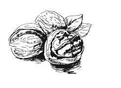 Иллюстрация к книге — 365 рецептов на каждый день [i_250.jpg]