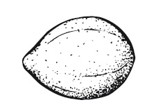 Иллюстрация к книге — 365 рецептов на каждый день [i_253.jpg]