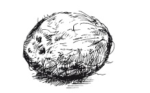 Иллюстрация к книге — 365 рецептов на каждый день [i_256.jpg]