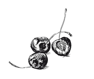 Иллюстрация к книге — 365 рецептов на каждый день [i_258.jpg]