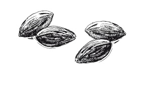 Иллюстрация к книге — 365 рецептов на каждый день [i_259.jpg]