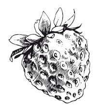 Иллюстрация к книге — 365 рецептов на каждый день [i_266.jpg]