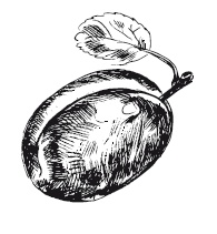 Иллюстрация к книге — 365 рецептов на каждый день [i_267.jpg]