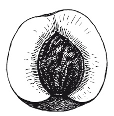 Иллюстрация к книге — 365 рецептов на каждый день [i_268.jpg]