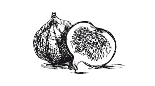 Иллюстрация к книге — 365 рецептов на каждый день [i_271.jpg]