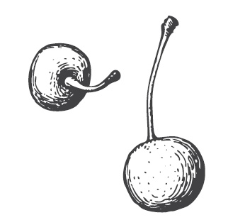 Иллюстрация к книге — 365 рецептов на каждый день [i_282.jpg]