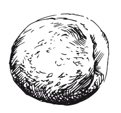 Иллюстрация к книге — 365 рецептов на каждый день [i_285.jpg]