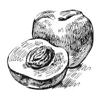 Иллюстрация к книге — 365 рецептов на каждый день [i_288.jpg]