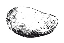 Иллюстрация к книге — 365 рецептов на каждый день [i_294.jpg]