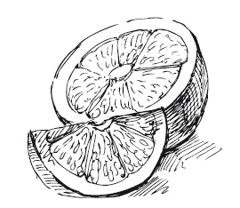 Иллюстрация к книге — 365 рецептов на каждый день [i_307.jpg]