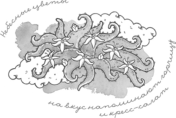 Иллюстрация к книге — Охотники за облаками [i_027.jpg]