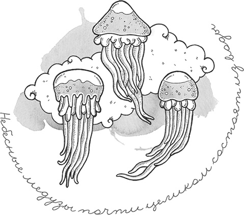 Иллюстрация к книге — Охотники за облаками [i_029.jpg]