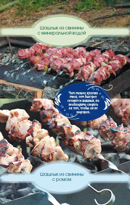 Иллюстрация к книге — 200 рецептов блюд на открытом воздухе: гриль, барбекю, шашлык из мяса, рыбы, овощей, морепродуктов и фруктов [i_003.jpg]