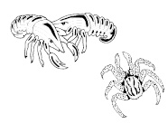 Иллюстрация к книге — Сверхпростые кулинарные рецепты [pict10.jpg]