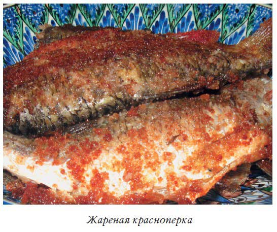 Иллюстрация к книге — Блюда из аэрогриля [i_009.jpg]