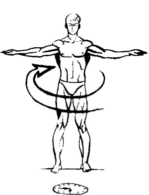 Иллюстрация к книге — Пять шагов к долголетию и молодости [i_001.jpg]