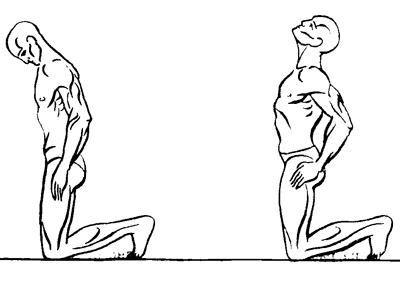 Иллюстрация к книге — Пять шагов к долголетию и молодости [i_003.jpg]