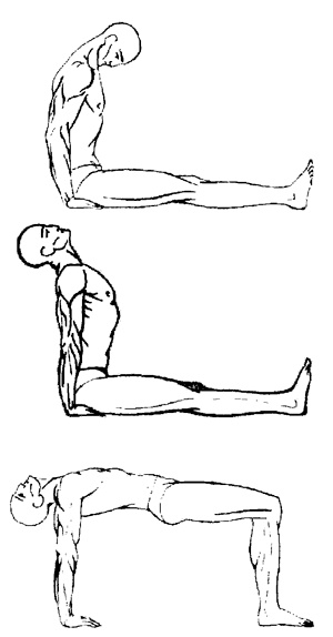 Иллюстрация к книге — Пять шагов к долголетию и молодости [i_004.jpg]