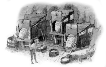 Иллюстрация к книге — Тоби Лолнесс. Книга 1. На волосок от гибели [i_008.jpg]